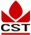 Chaitanya Software Technologies